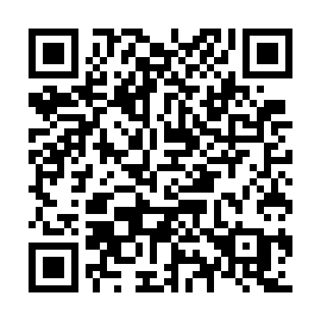 QR code for N95GCA