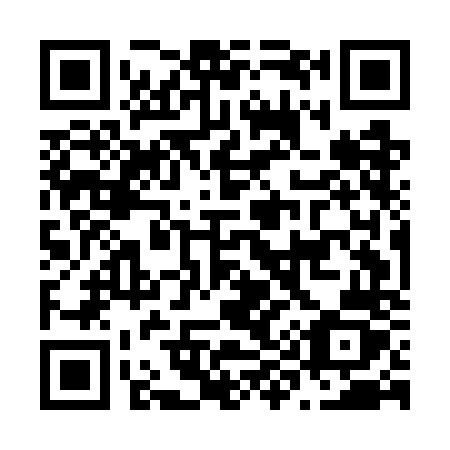 QR code for plate N95-GNZ
