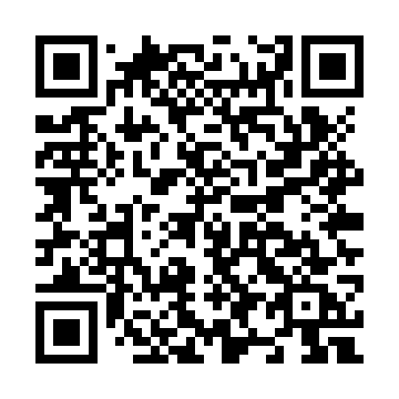 QR code for plate N95-ZWC