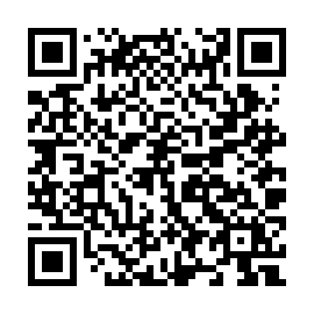 QR code for N96-BJX