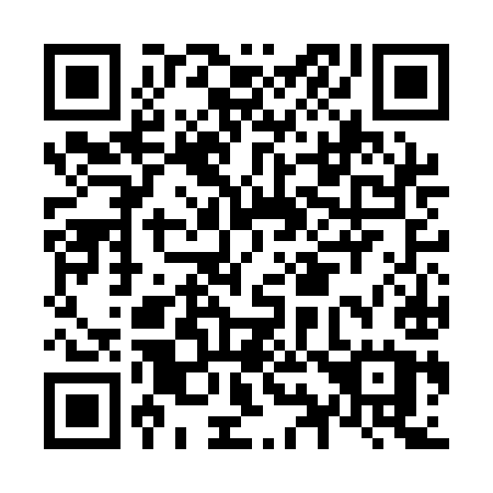 QR code for plate N96-AIU