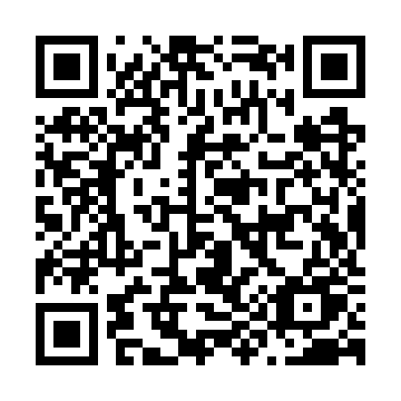QR code for plate N99-WZU