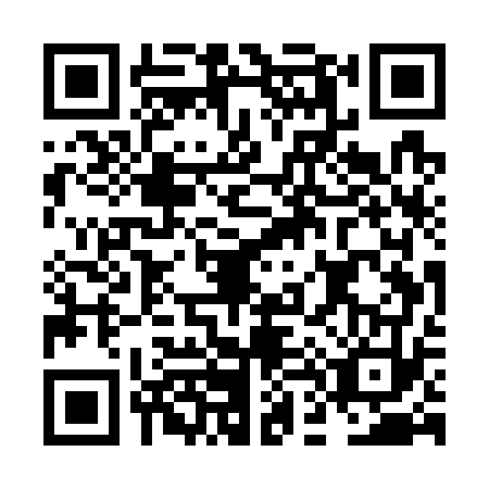 QR code for plate ND5-W738