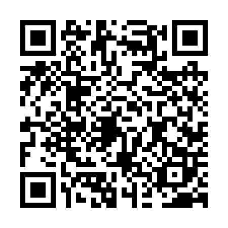 QR code for plate NDV-2029