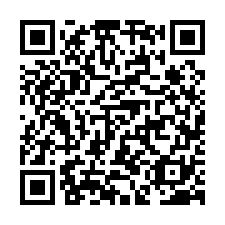 QR code for plate NEF-171