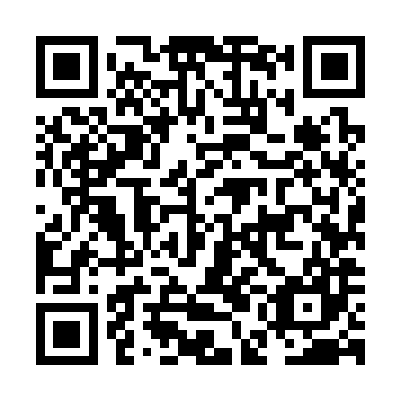 QR code for plate NEM-387