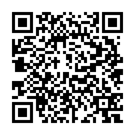QR code for NFJ6333