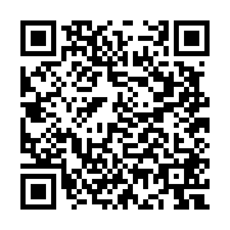 QR code for plate NG0-D489