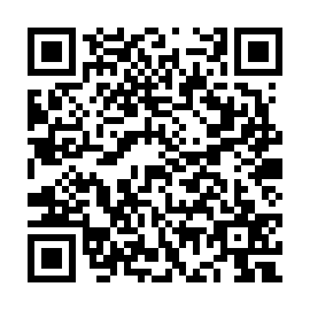 QR code for plate NG0-V374