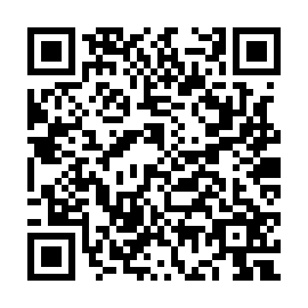 QR code for NG2-Q265
