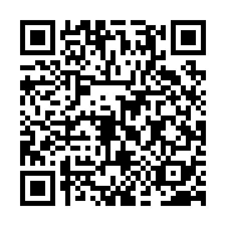 QR code for plate NG4-R796