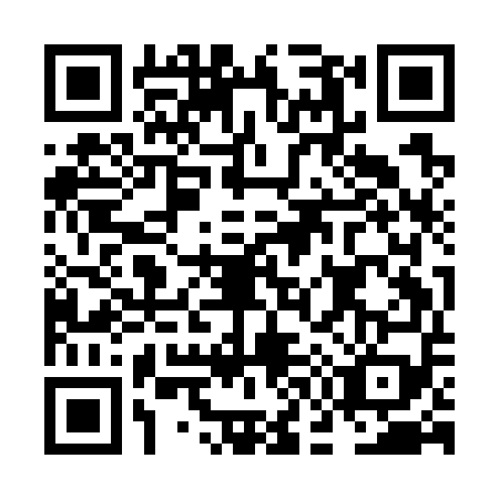 QR code for plate NG9-G596