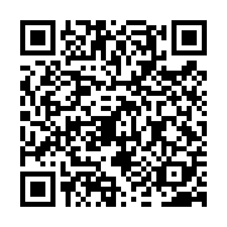 QR code for plate NI6-D099