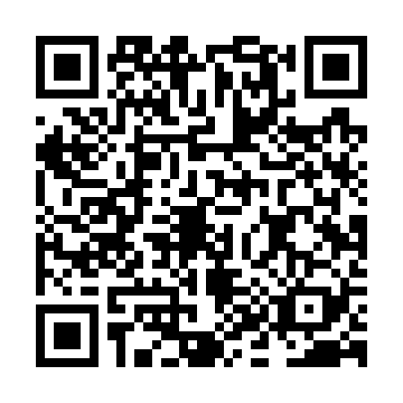 QR code for plate NK4-W299