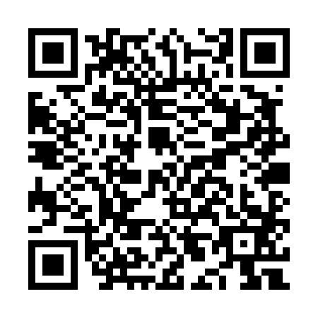 QR code for plate NL0-T838