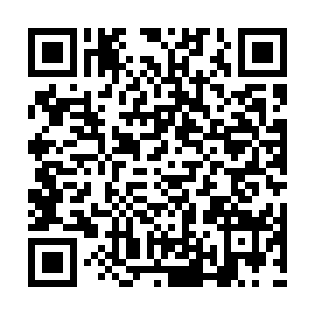 QR code for plate NL9-U591