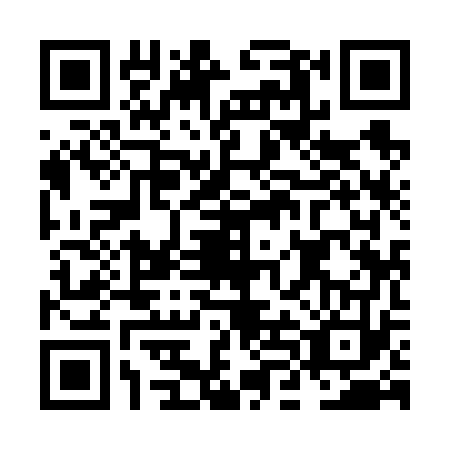 QR code for plate NLI-6733