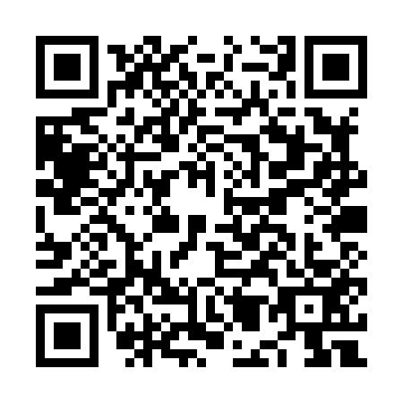 QR code for plate NM0-X533