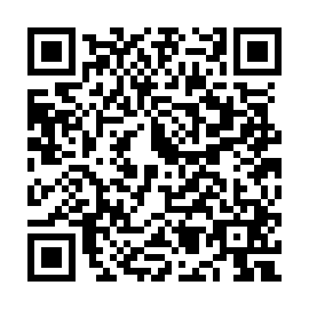 QR code for plate NM3-O419