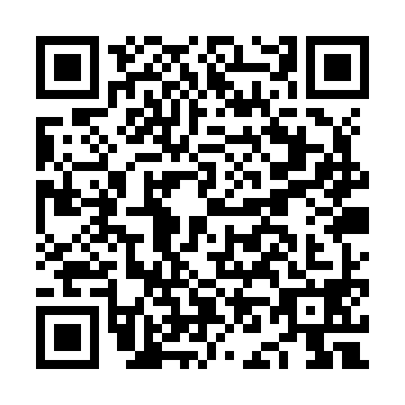 QR code for plate NN1-Z980