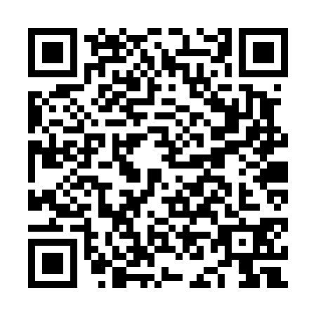 QR code for plate NN2-T305