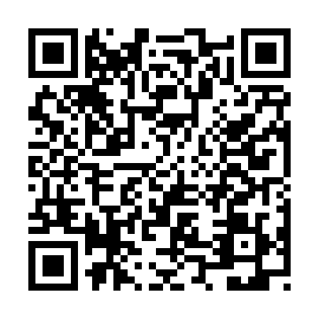 QR code for plate NP5-T299