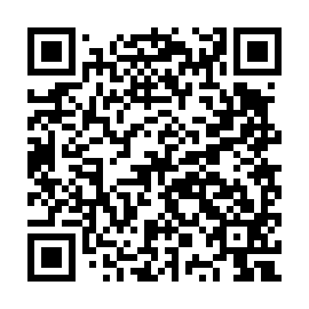 QR code for NPB-493