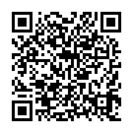 QR code for NPP-919