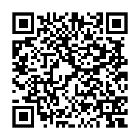 QR code for plate NQ3-L338
