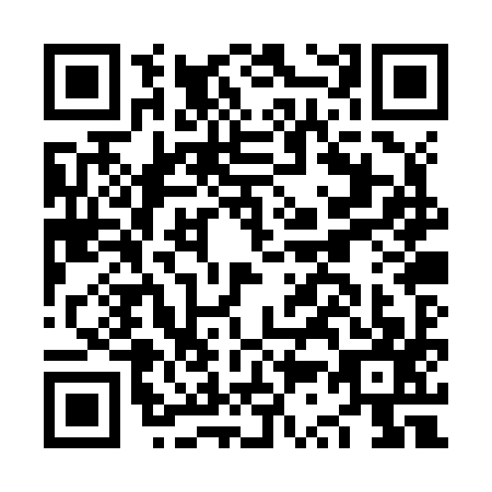 QR code for plate NS0-Z970