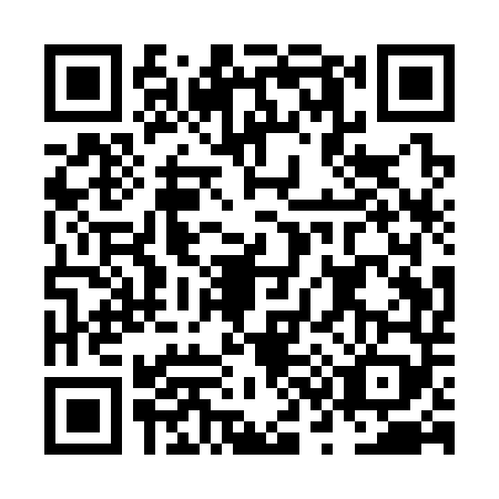 QR code for NS1-S493