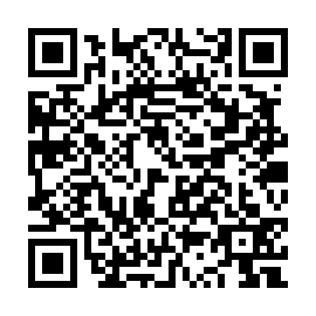 QR code for plate NS3-T338