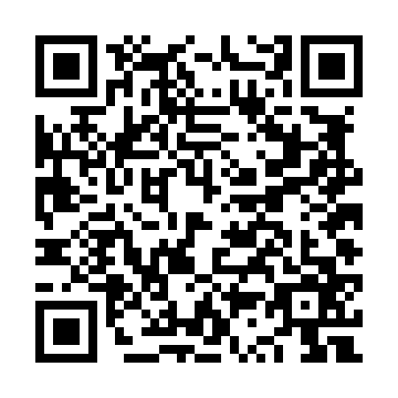 QR code for NS4L668