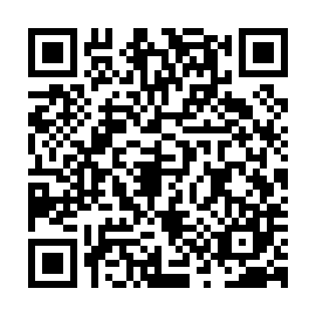 QR code for NS7-P876