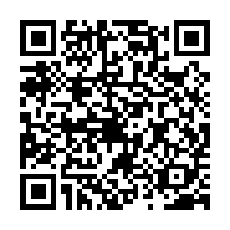 QR code for plate NT1-Q895