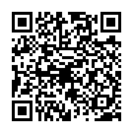 QR code for plate NT2-V991