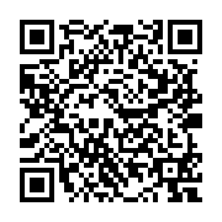 QR code for plate NT9-U906