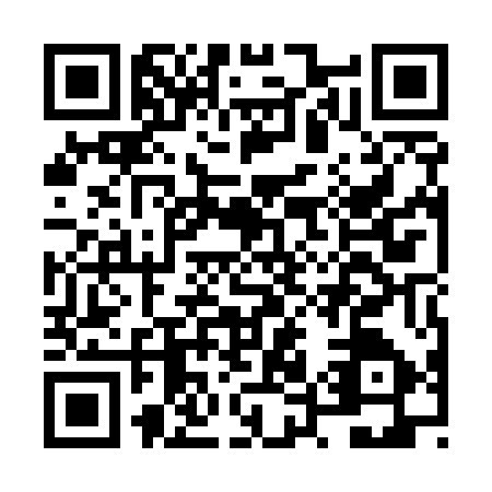 QR code for plate NU9-U575