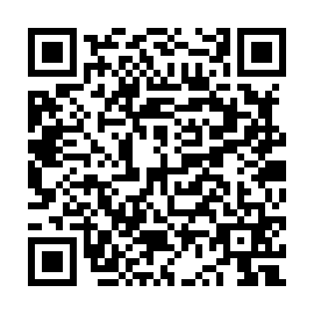 QR code for plate NV3-X613