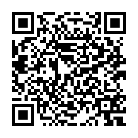 QR code for plate NV9-K543