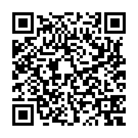 QR code for NZ2-H385