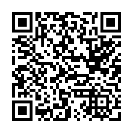 QR code for plate NZL-243