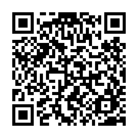 QR code for O13DIB