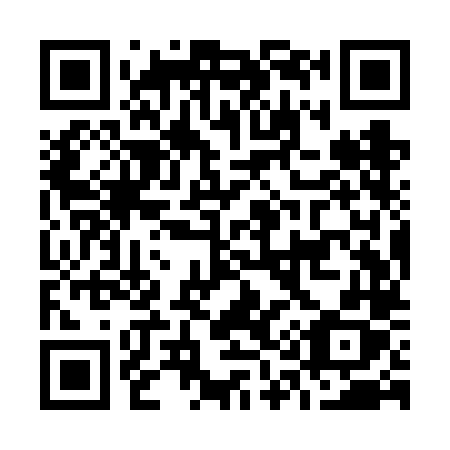 QR code for plate O19-VLX