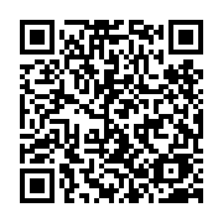 QR code for plate O28-DGE