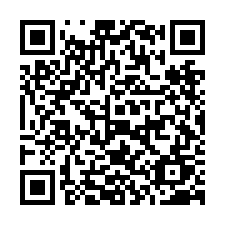 QR code for plate O46-NGT