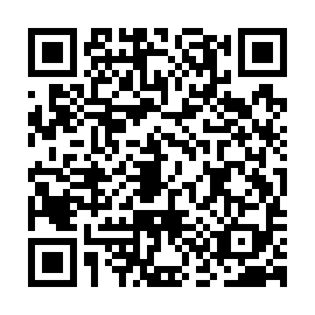 QR code for plate OC9-G994