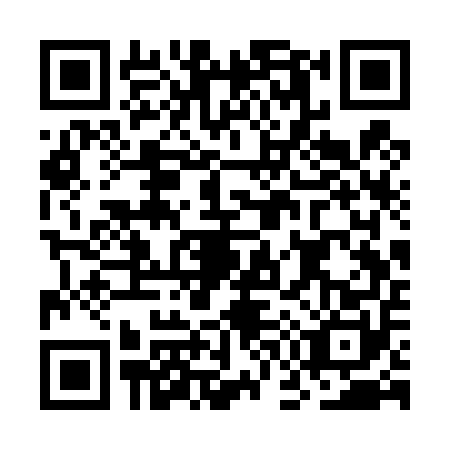 QR code for plate OG3-T508