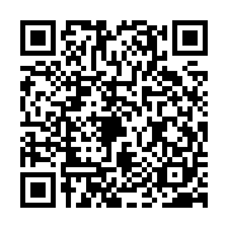 QR code for OI9Z506