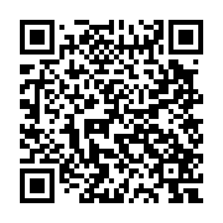 QR code for plate OVG-007